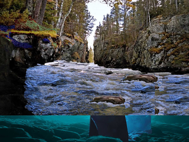 Narrows Gorge Underwater