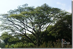 DSC02044