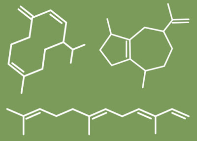 Química para fisioterapeuta - fisioterapia - iniciantes