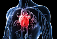 Cara Mencegah Faktor Risiko Penyakit Jantung Koroner  Cara Mencegah Faktor Risiko Penyakit Jantung Koroner 