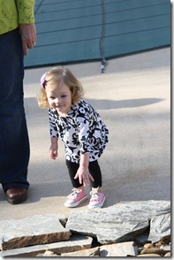 IMG_3070 IMG_3070