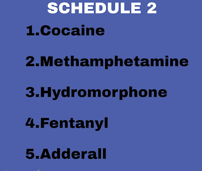 Schedule 2
