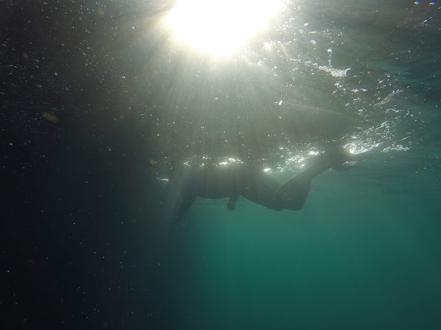 Snorkel en Kicker Rock o León dormido, Islas Galápagos