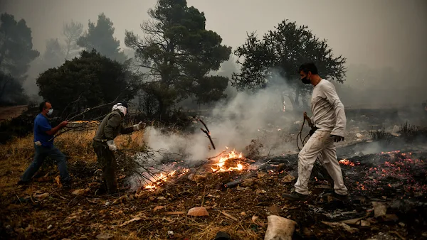 Πυρκαγιά στα Βίλλια: Απελπισία και αγανάκτηση για τη γύμνια του κρατικού μηχανισμού