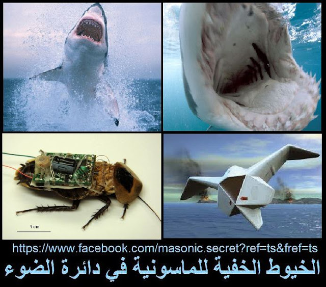 ظاهرة اسماك القرش المهاجمة وعلاقتها بمشاريع السايبورج لوكالة داربا؟