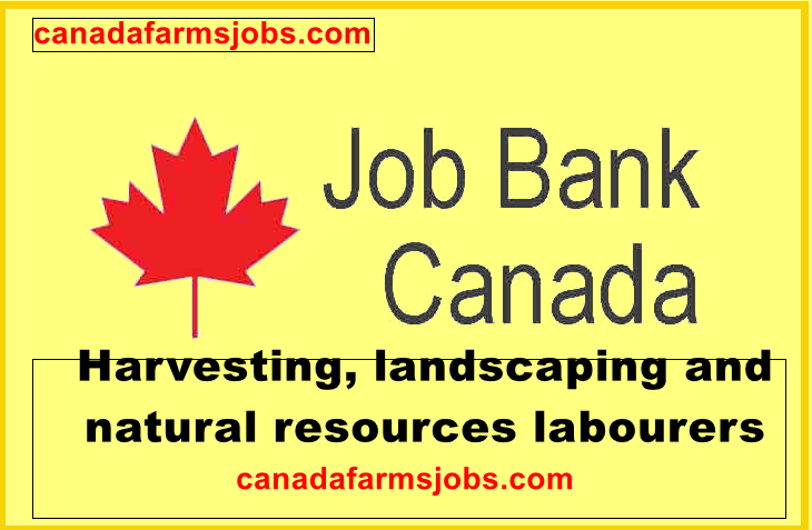 Harvest, landscaping and natural resource workers jobs in Canada