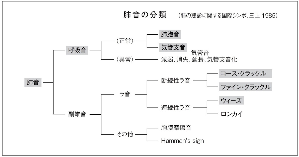 松下 Er ランチ カンファレンス ゴロ音
