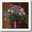 DSCF2471