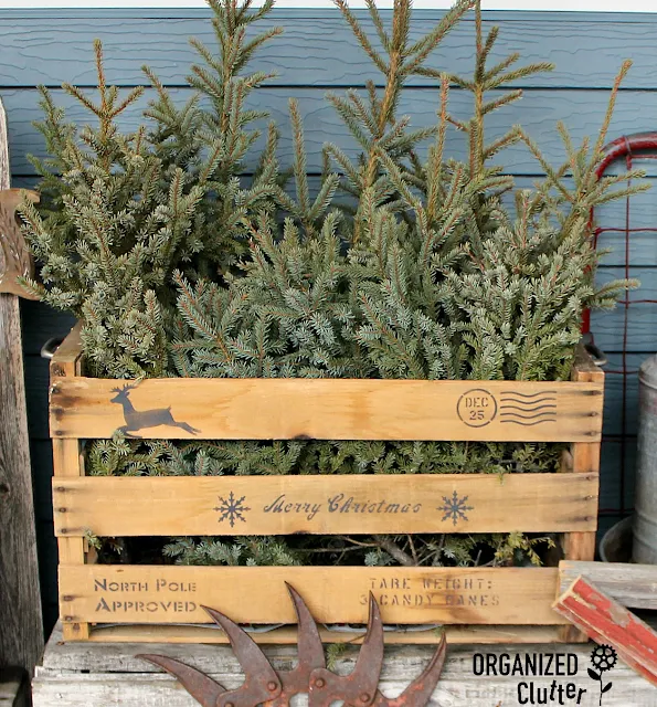 Stenciled Rustic Christmas Crate With Spruce Tips/Tops #oldsignstencils #stencil #RusticChristmas #junkdecor #farmhouseChristmas #crates