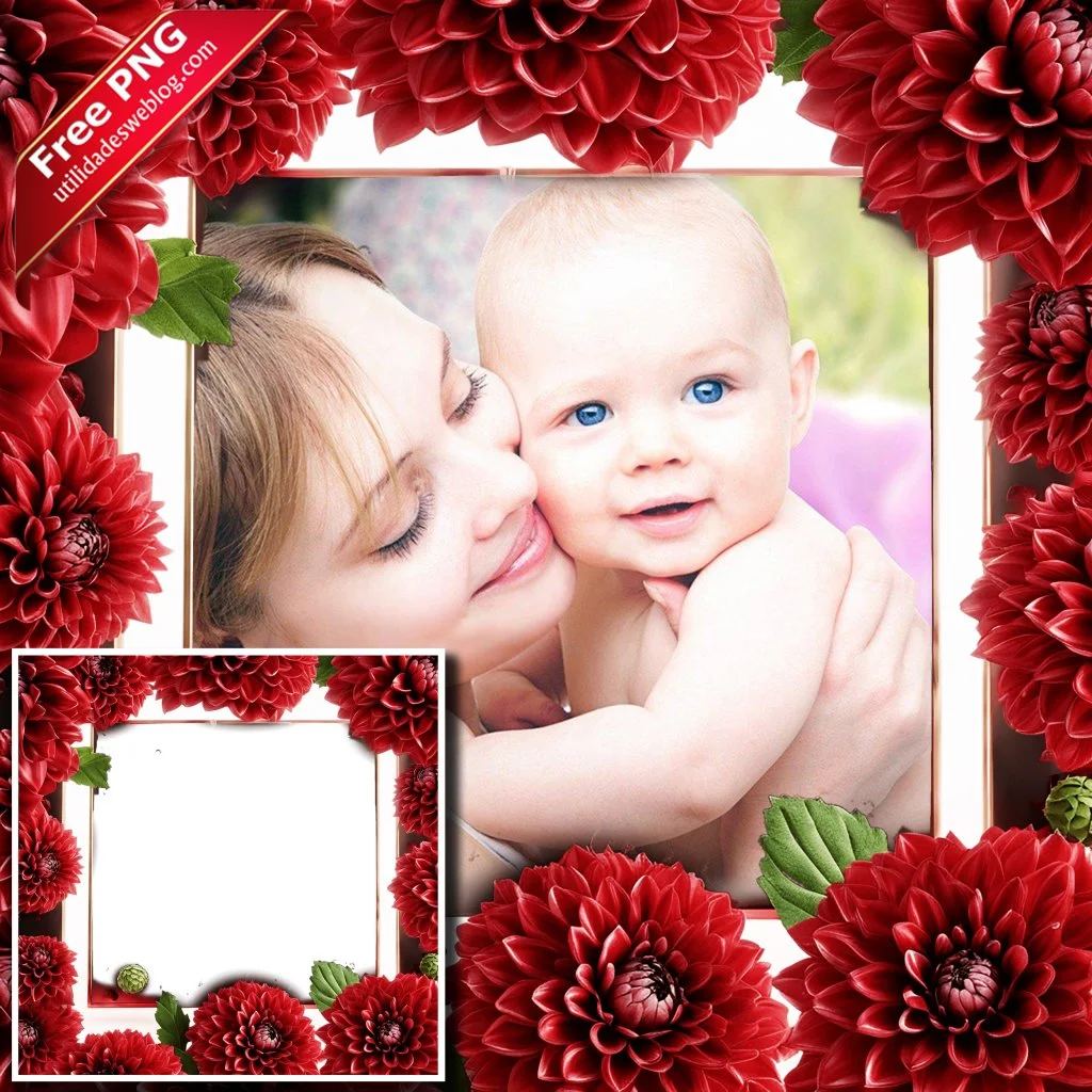marco para fotos con flores de dahlias rojas en png con fondo transparente para descargar gratis