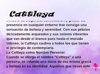 ▷ Significado del nombre Cattleya