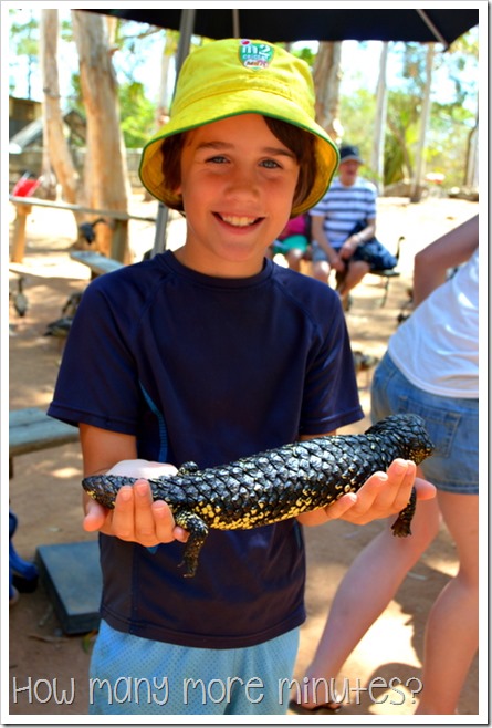 Billabong Sanctuary | How Many More Minutes?