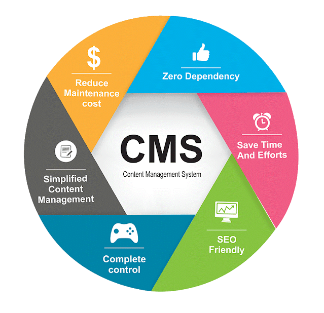 Best CMS Software