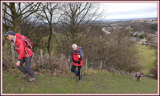 Ascending to White Nancy