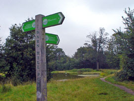 Barn Hill Pond