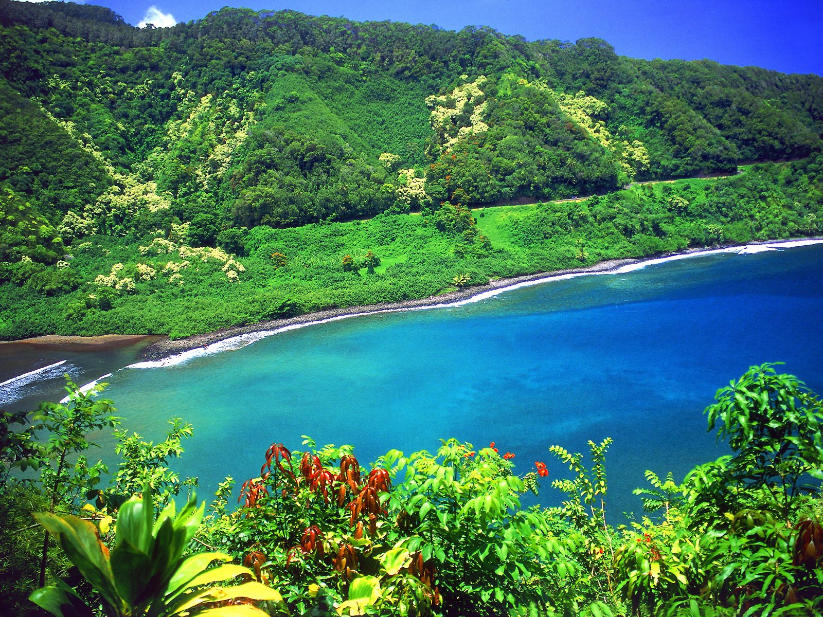 Maui | Beautiful Island Travel Information & Latest Photos