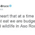 There's a budget of ₦40m to feed wildlife in Aso Rock Presidential Villa?