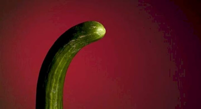 7 Foods That Make The Penis Bigger and Thicker Naturally
