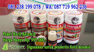 Harga Merk kapsul/tablet obat kutil kelamin wanita