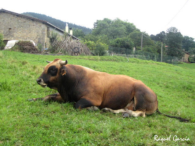 Barrio Unda en Muxika (Bizkaia)