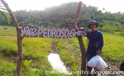 Mike Pedroso Farms: An Armchair Farmer's Journey to Developing an Integrated Diversified Organic Farm