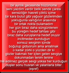 bir ayrılık 5