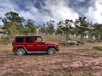 Mercedes-AMG G63