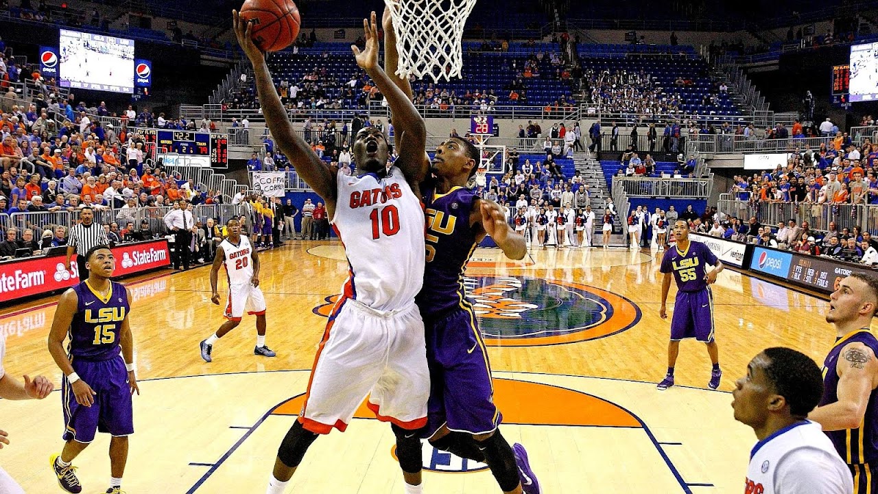 2013-14 Florida Gators men's basketball team