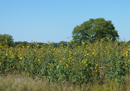 P1120081