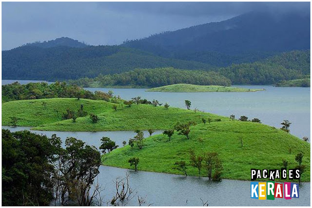 wayanad tour packages