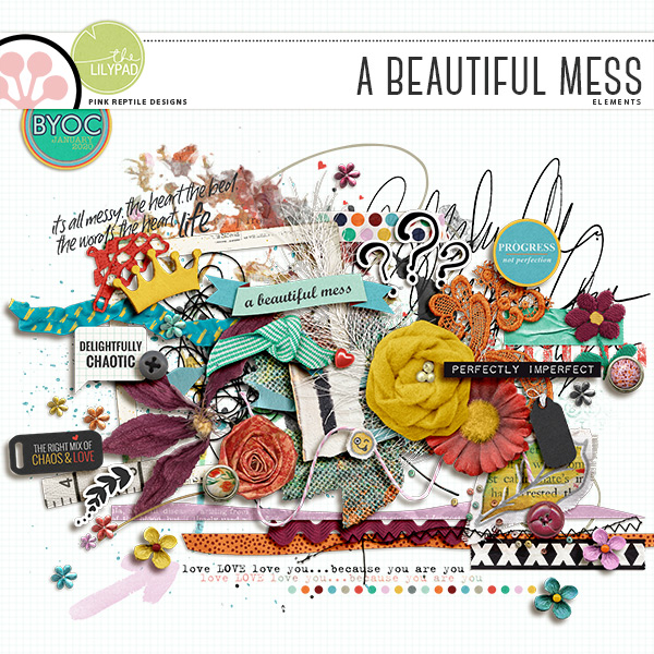 https://the-lilypad.com/store/A-Beautiful-Mess-Elements.html