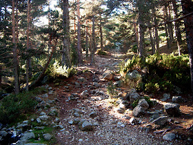 Ruta de Colmenar Viejo al puerto de Cotos. Octubre 2012