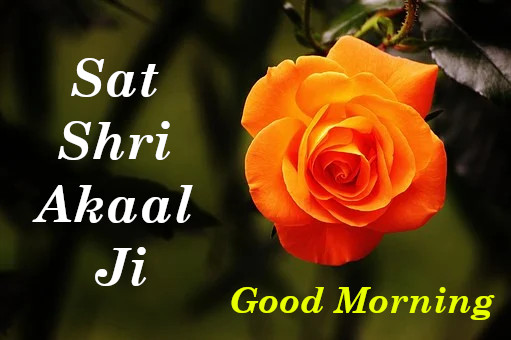 Sat Shri Akaal Ji Good Morning