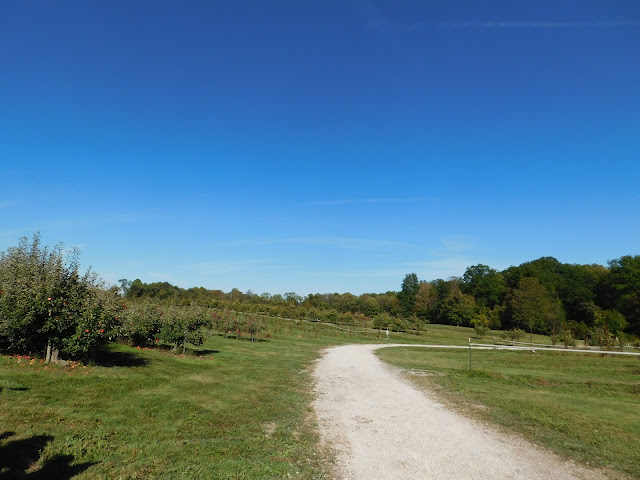 Fall Fun Fest and Almost Apple Picking Again