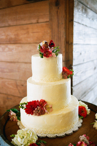 My Cardinal Love Birds were a perfect finishing touch to their cake