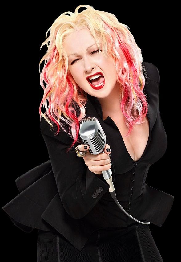 http://www.vegasnews.com/110137/cher-to-be-joined-by-special-guest-cyndi-lauper-in-dressed-to-kill-tour.html