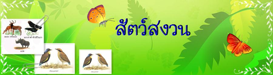 สัตว์สงวน