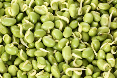 Lima Beans Health Benefits