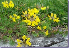 mini_DSC07760