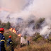  Αναζωπυρώσεις σε Έβρο και Ροδόπη - Συνολικά οι πυροσβεστικές δυνάμεις αντιμετωπίζουν 74 πυρκαγιές σε όλη τη χώρα