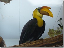 P1080077