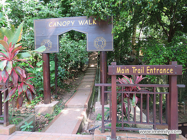 Bukit Nanas Eco Park, KL