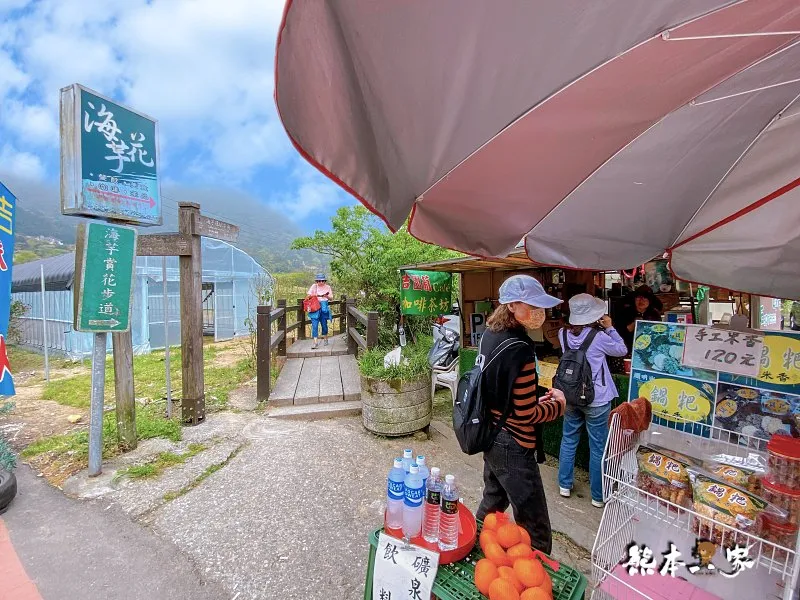 海芋大道｜海芋賞花步道