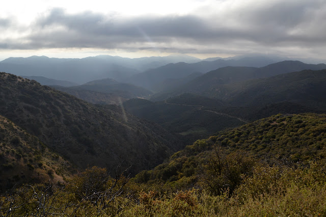 winding road descending