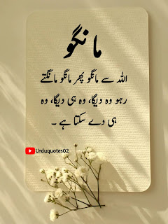 golden words in one line, golden words in urdu one line, golden words in urdu for students, golden words in urdu, 100 plus islamic urdu quotes in urdu, islamic quotes in urdu lines, islamic quotes in urdu shayari, urdu poetry, islamic quotes in urdu poetry, islamic quotes in urdu sms, islamic quotes in urdu text,