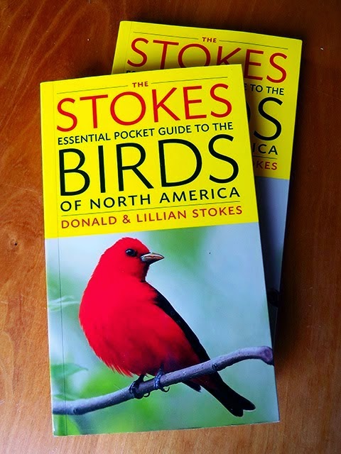 Stokes Birding Blog Countdown To Publication Of Stokes
