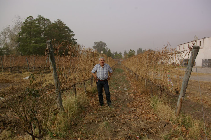 Visite d'une Bodega.