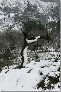 P1260839