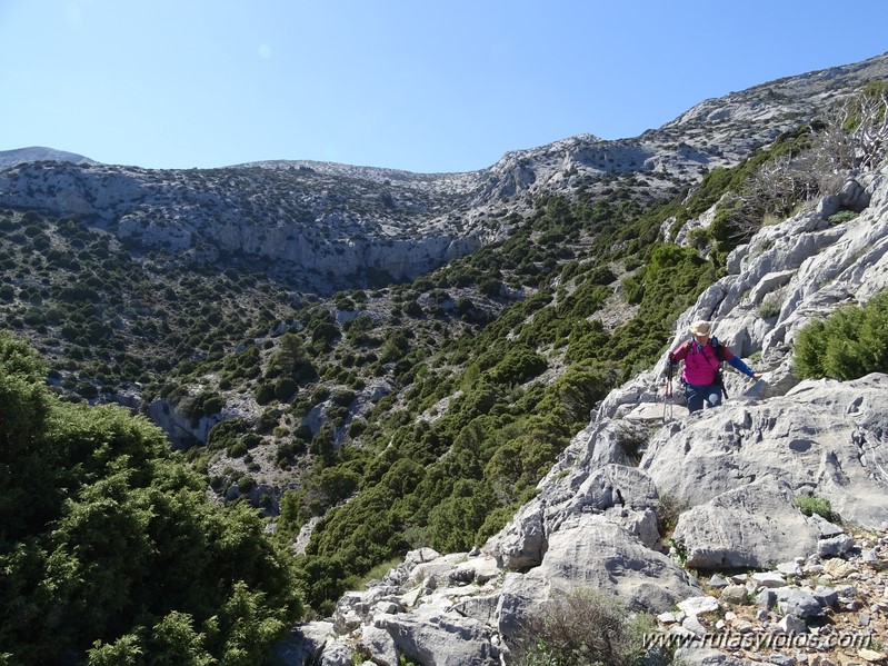 Subida al Torrecilla por la Loma Larga