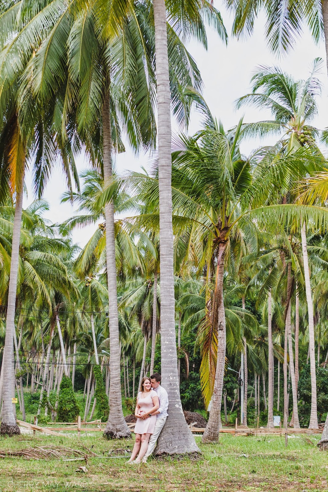 Koh Samui, Thailand engagement photos, young couple in love, happy, having fun amongst the palm trees, palm tree field, Thailand palm tree forest photography 